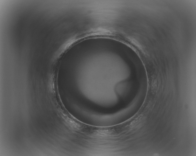 X0000072981455200607211237