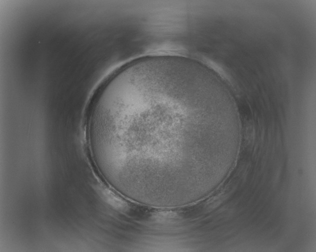 X0000072981462200607211237