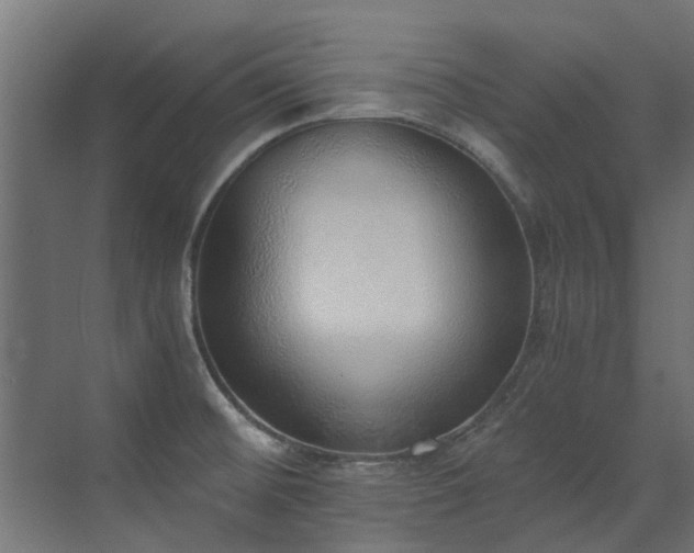 X0000072981476200607211236
