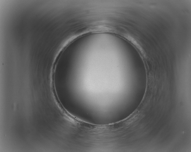 X0000072981477200607211236
