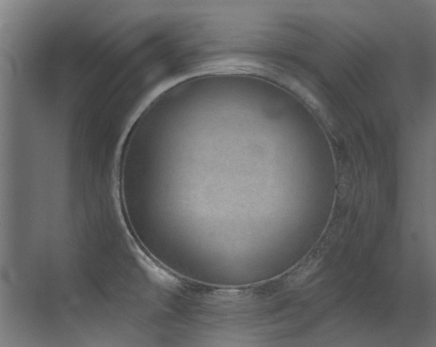 X0000072981478200607211236