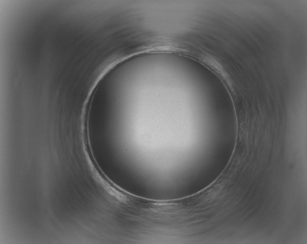 X0000072981483200607211236
