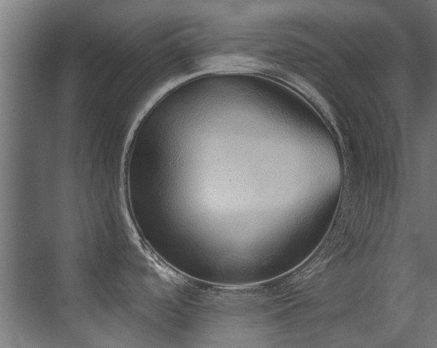 X0000072981488200607211236