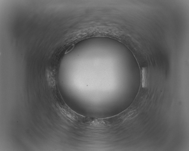 X0000072981491200607211235
