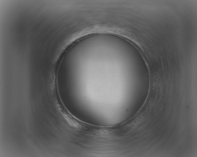 X0000072981507200607211236