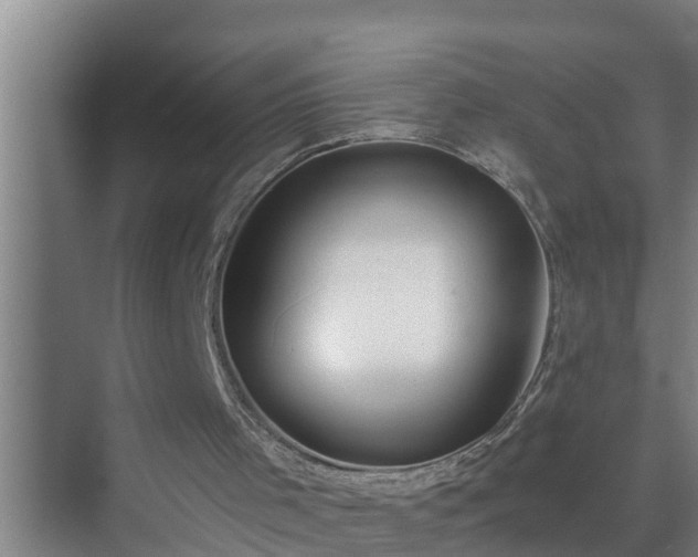 X0000072980001200607290000