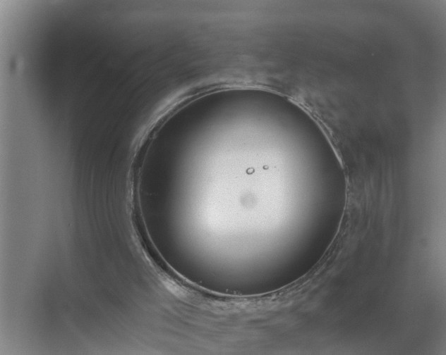 X0000072980005200607290000