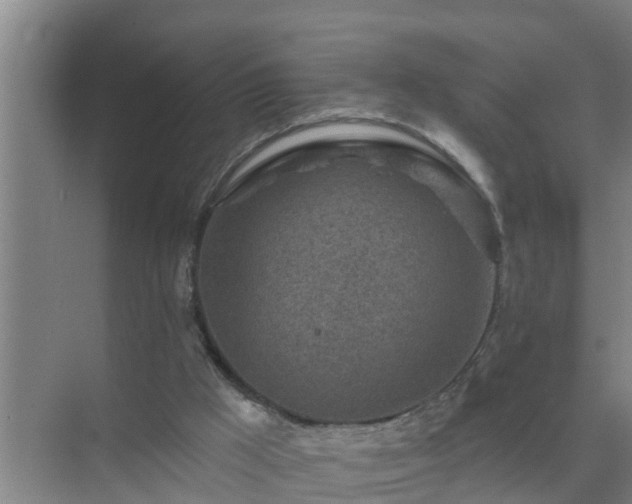 X0000072980009200607290000