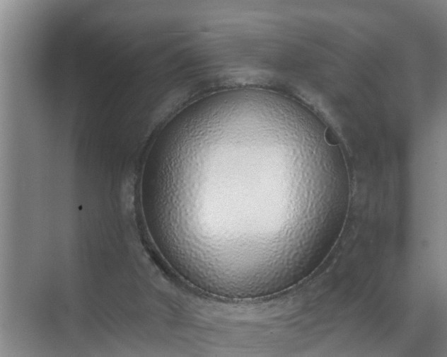 X0000072980010200607282359