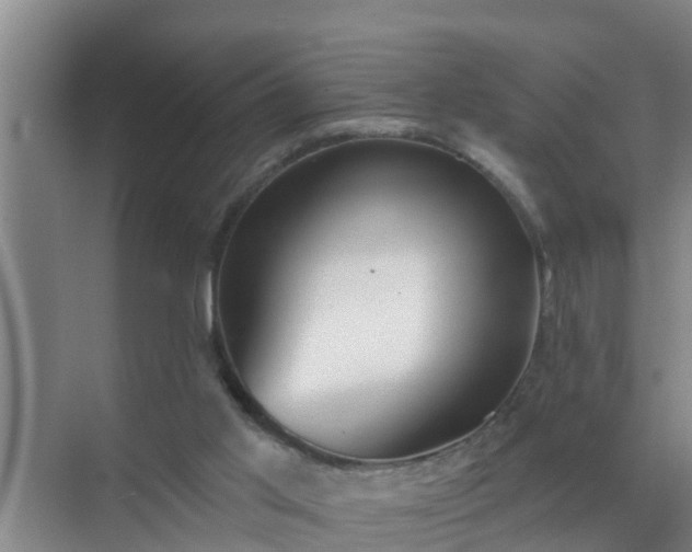 X0000072980013200607282359