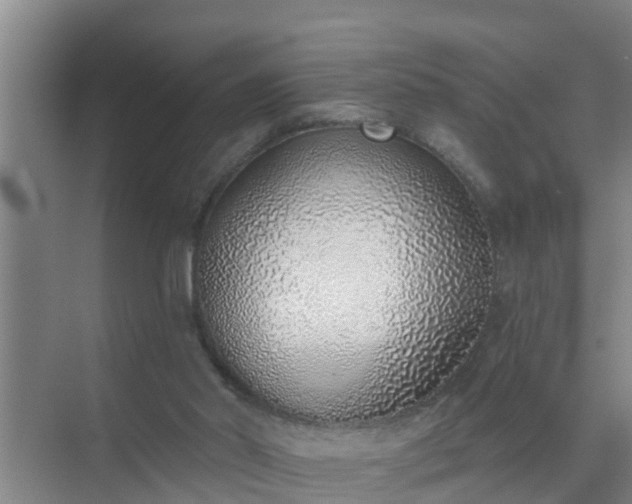 X0000072980014200607282359