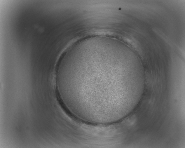 X0000072980016200607282359