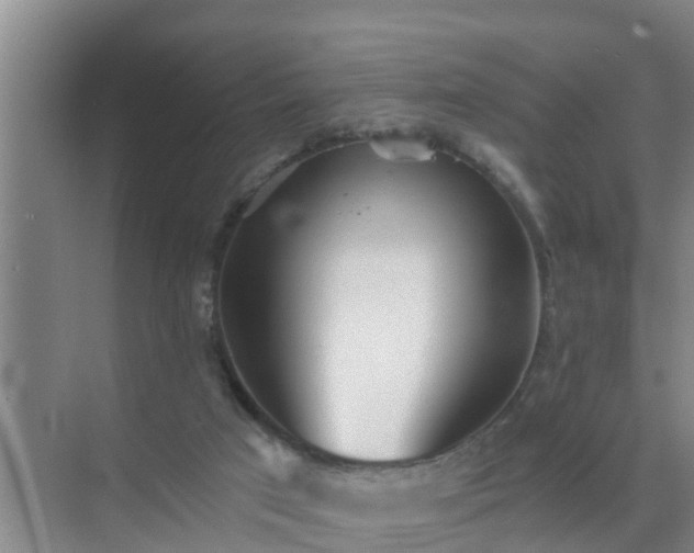 X0000072980017200607282359