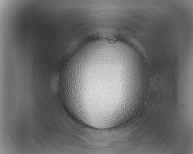 X0000072980018200607282359