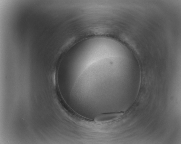 X0000072980019200607282359