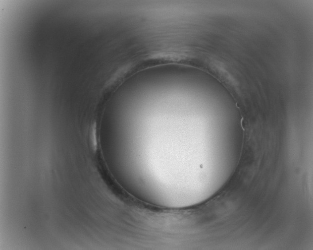 X0000072980020200607282359