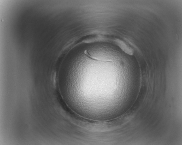 X0000072980024200607282359