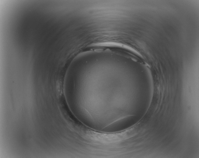 X0000072980031200607282359