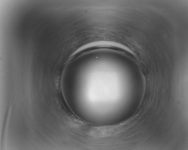 X0000072980033200607282359