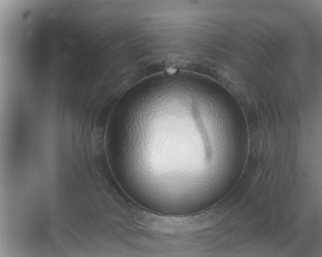 X0000072980034200607282359