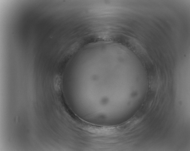 X0000072980036200607282359