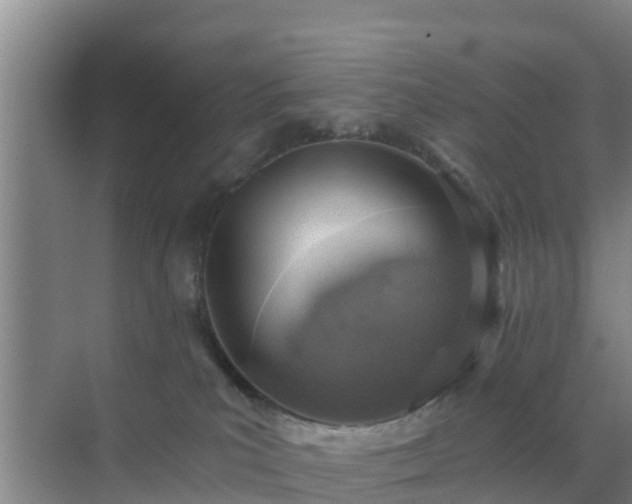 X0000072980039200607282359