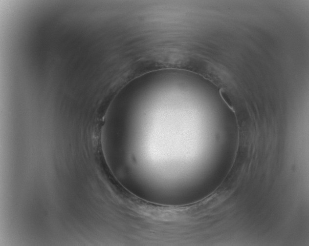 X0000072980040200607282359