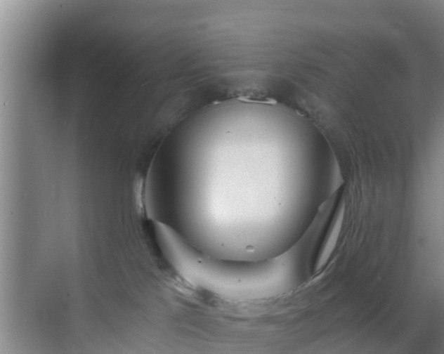 X0000072980041200607282359