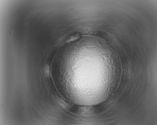 X0000072980089200607282359