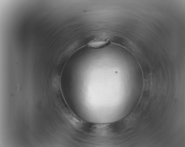 X0000072980093200607282359