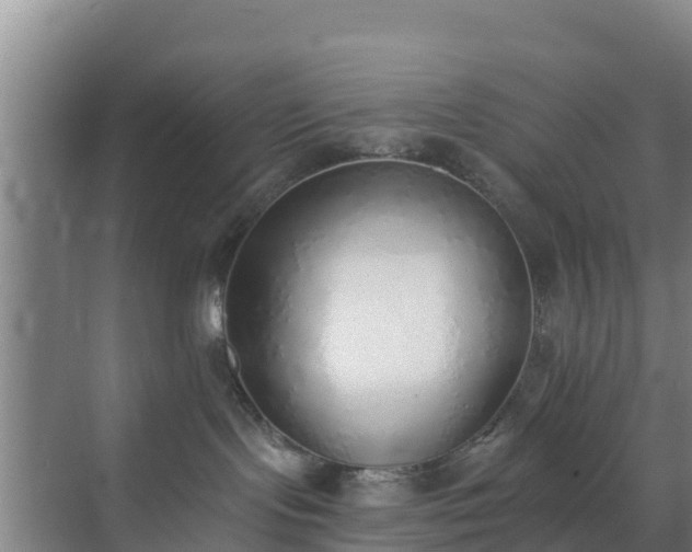 X0000072980095200607282359