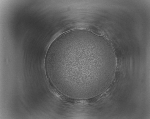 X0000072980099200607282358