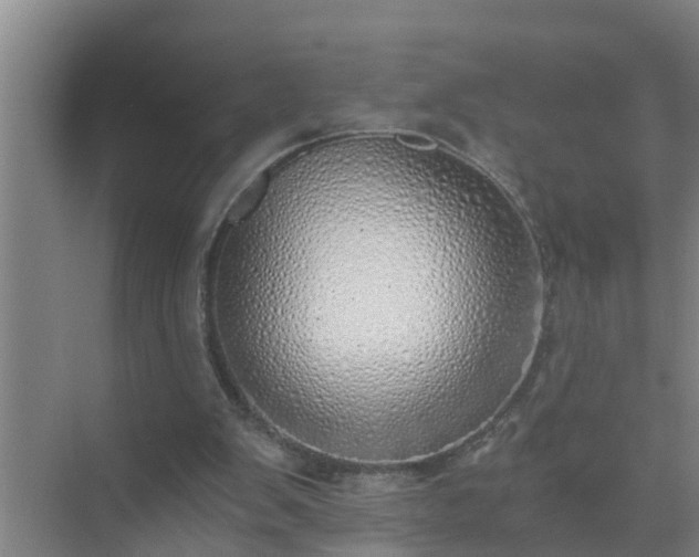 X0000072980103200607282358