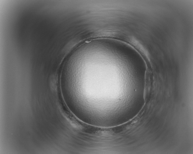 X0000072980107200607282358
