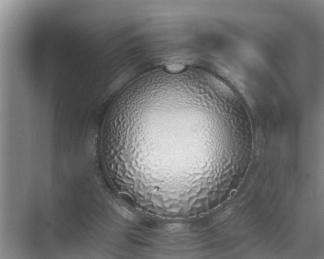 X0000072980153200607282357