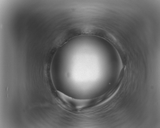 X0000072980217200607282356