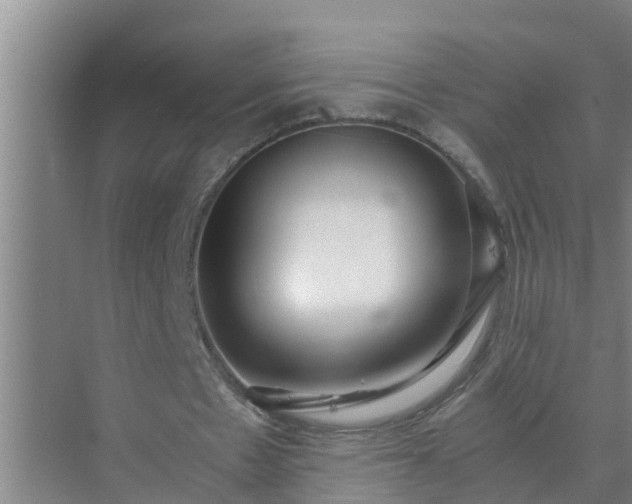 X0000072980481200607282352