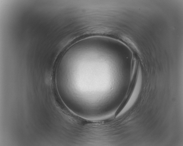 X0000072980483200607282352