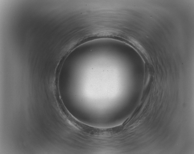 X0000072980485200607282352