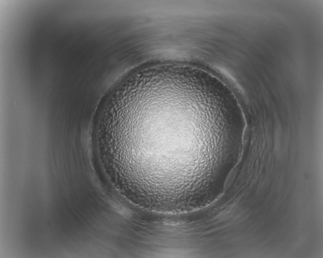 X0000072980487200607282351
