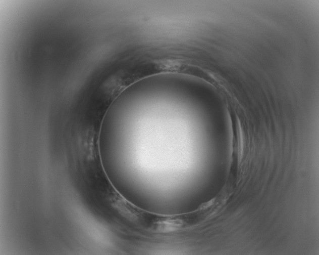 X0000072980525200607282351