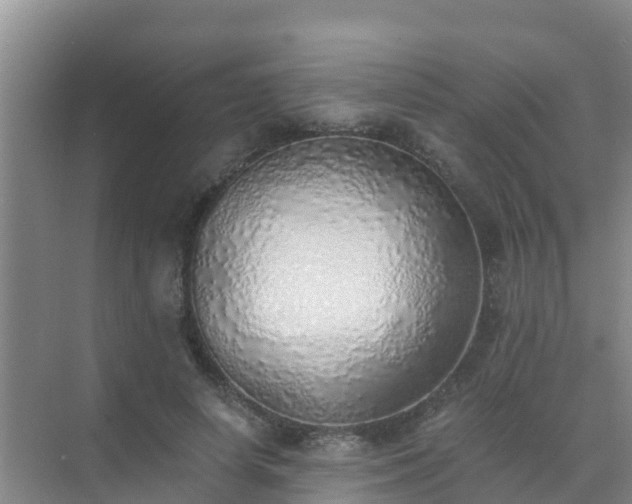 X0000072980642200607282349