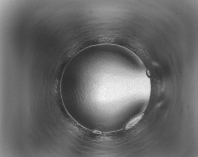 X0000072980649200607282349