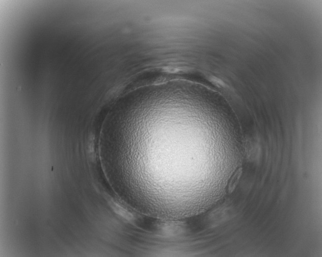 X0000072980670200607282349
