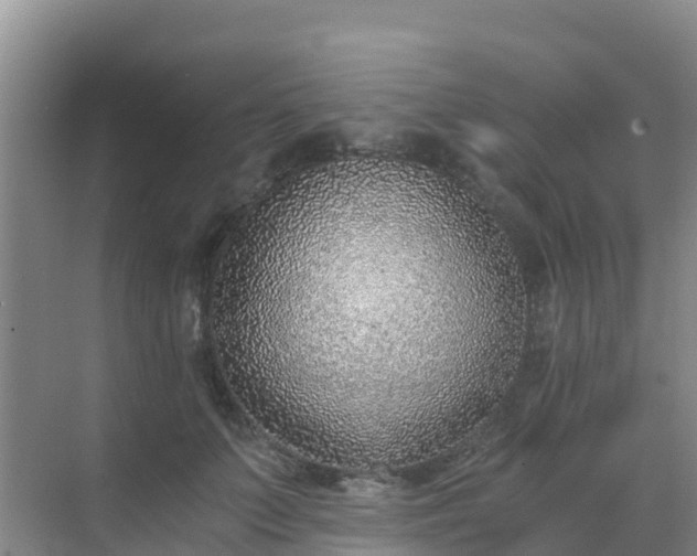 X0000072980703200607282348