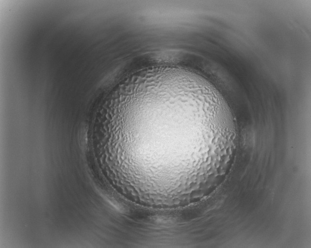 X0000072980733200607282347