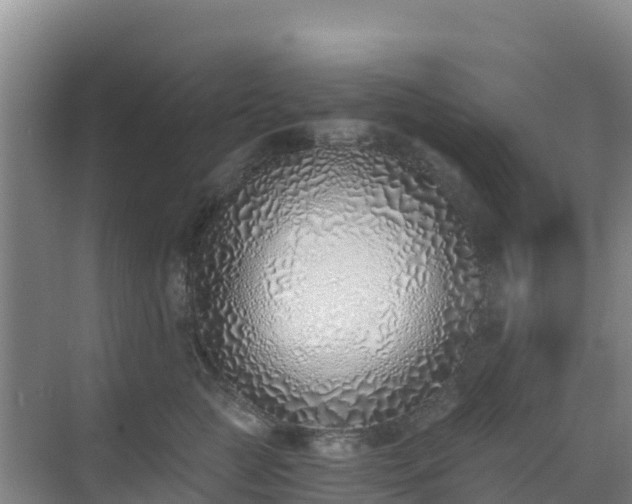 X0000072980761200607282347