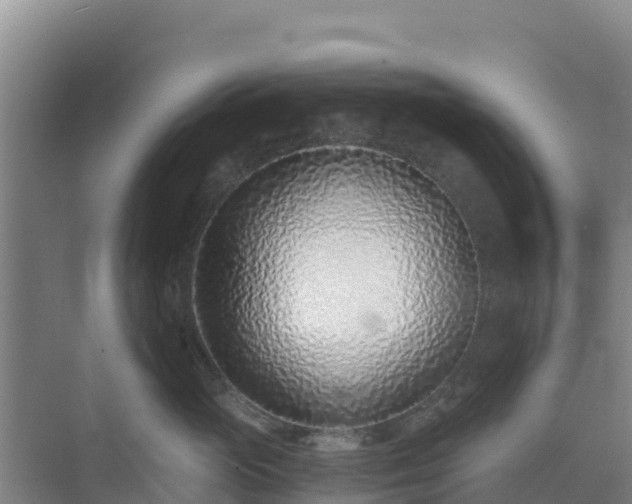X0000072980765200607282348