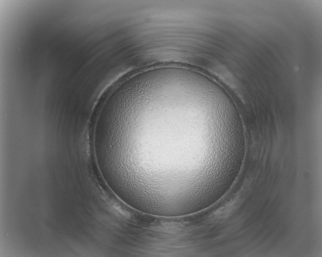 X0000072980782200607282347