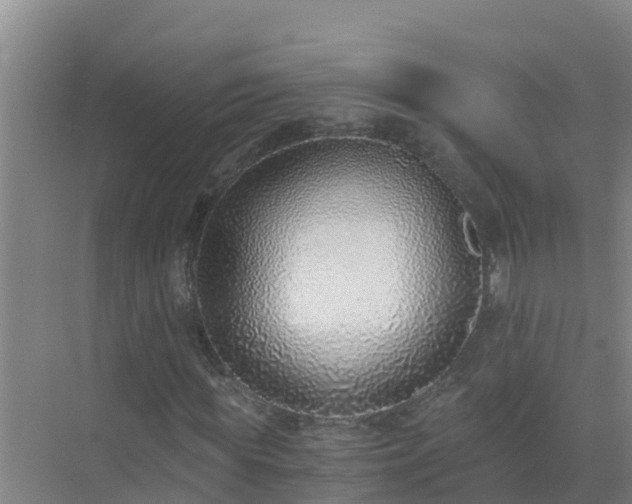 X0000072980819200607282345